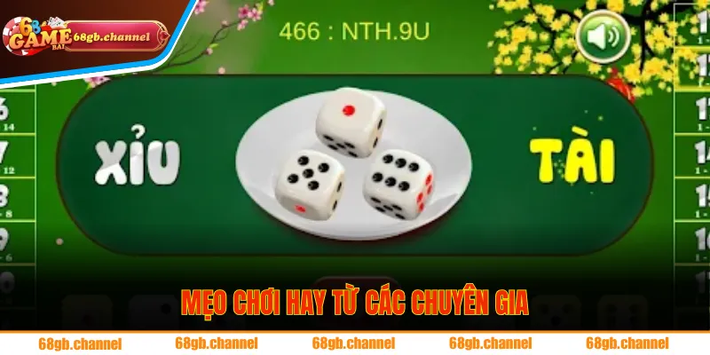 Mẹo chơi hay từ các chuyên gia