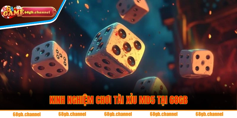 Chia sẻ kinh nghiệm tham gia tài xỉu MD5 cho tân binh