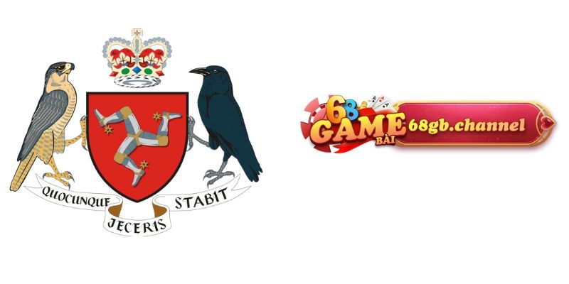 giấy phép hoạt động 68GB